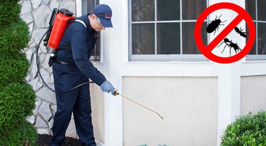 Dumlupınar Kene İlaçlama böcek ilaçlama ve haşere kontrolü — ilaclama-tr.com